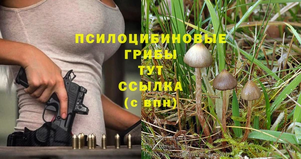 твердый Армянск